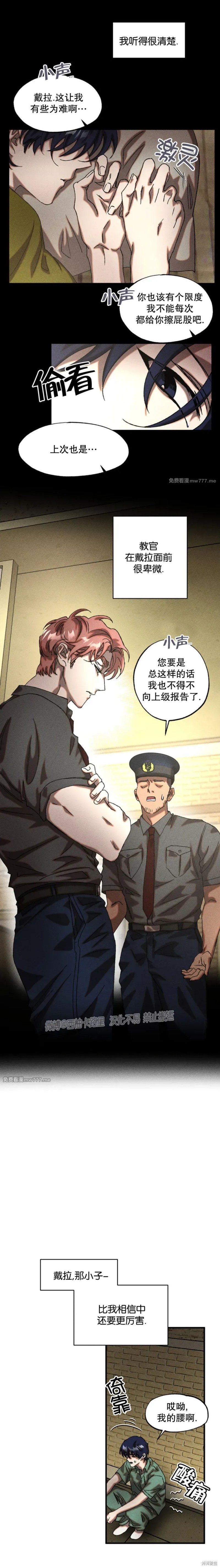 6.jpg