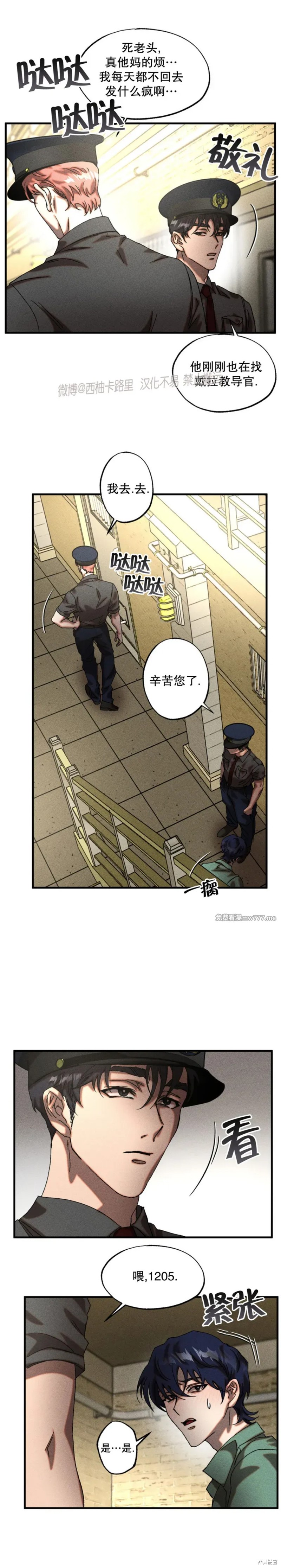 13.jpg