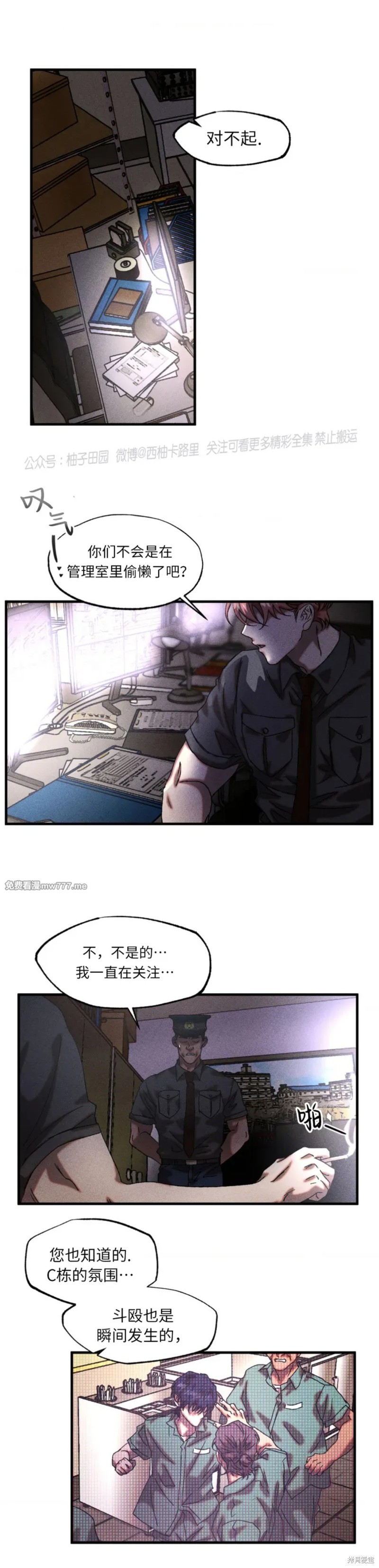 6.jpg