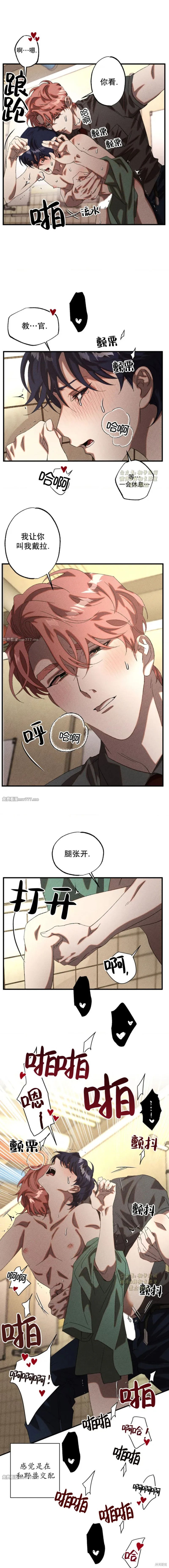 12.jpg