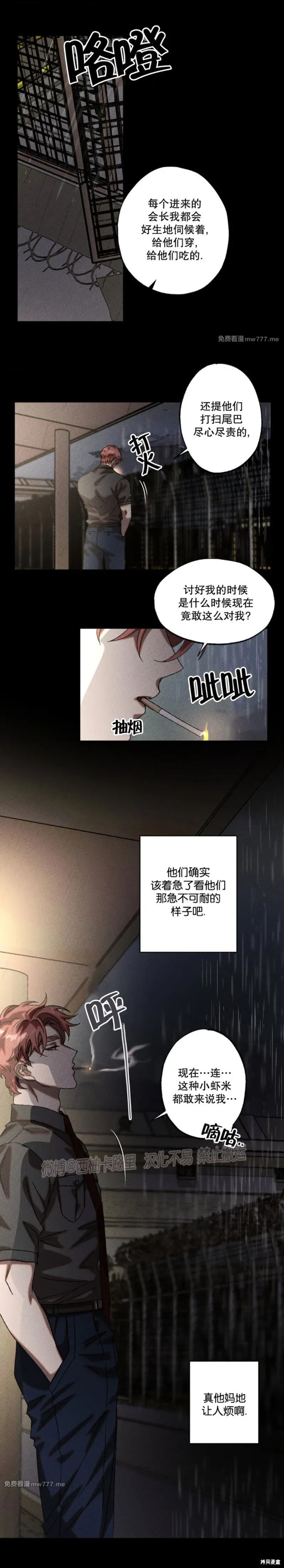 5.jpg
