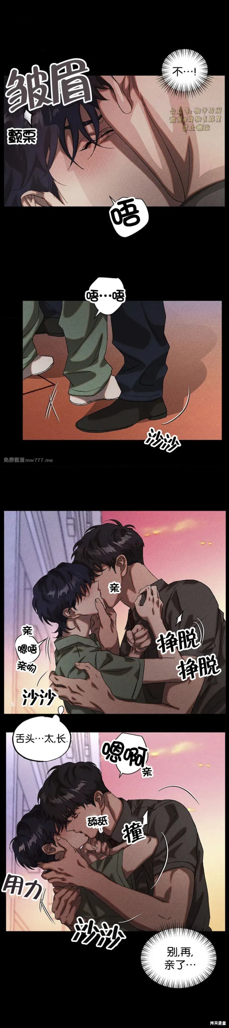 7.jpg