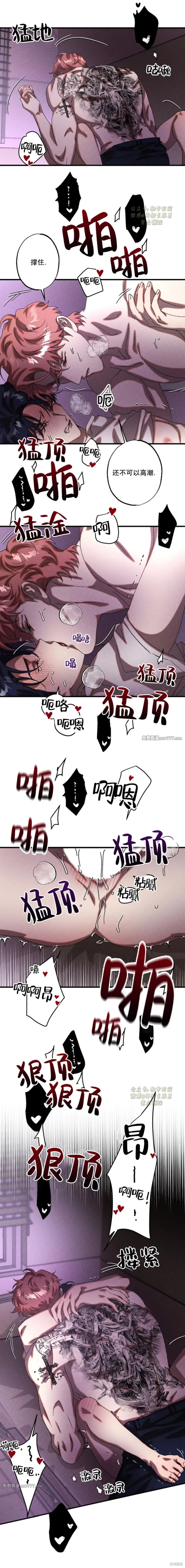 12.jpg