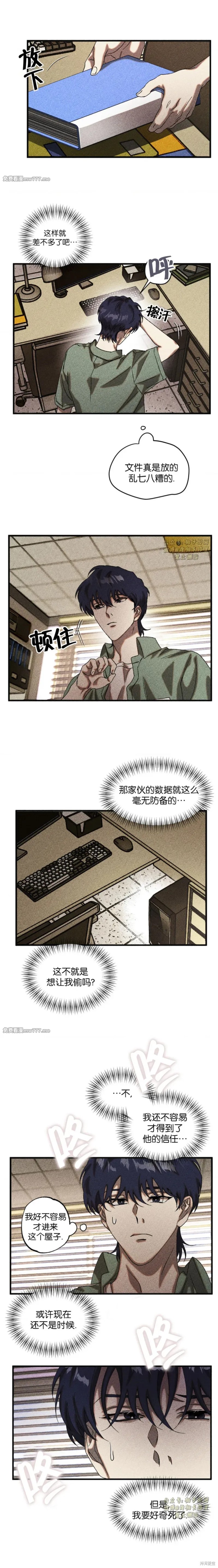 11.jpg