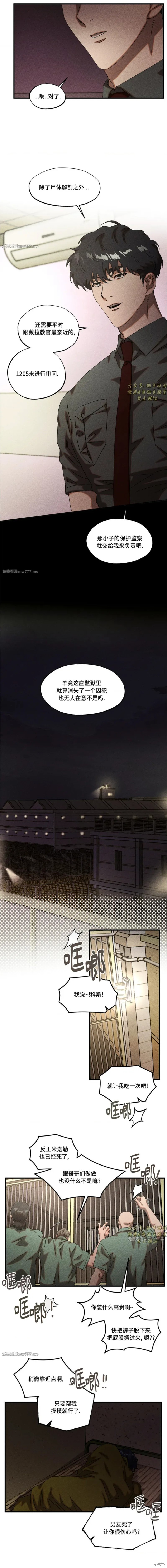 6.jpg