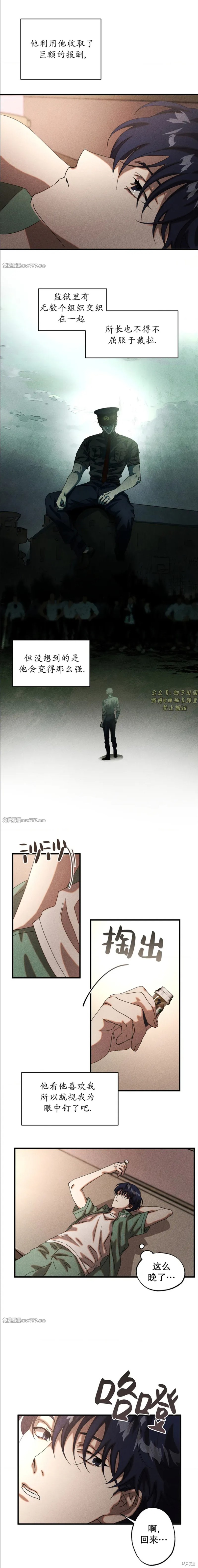 6.jpg