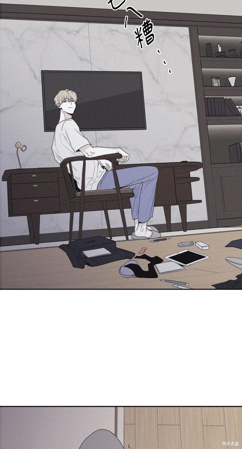 41.jpg