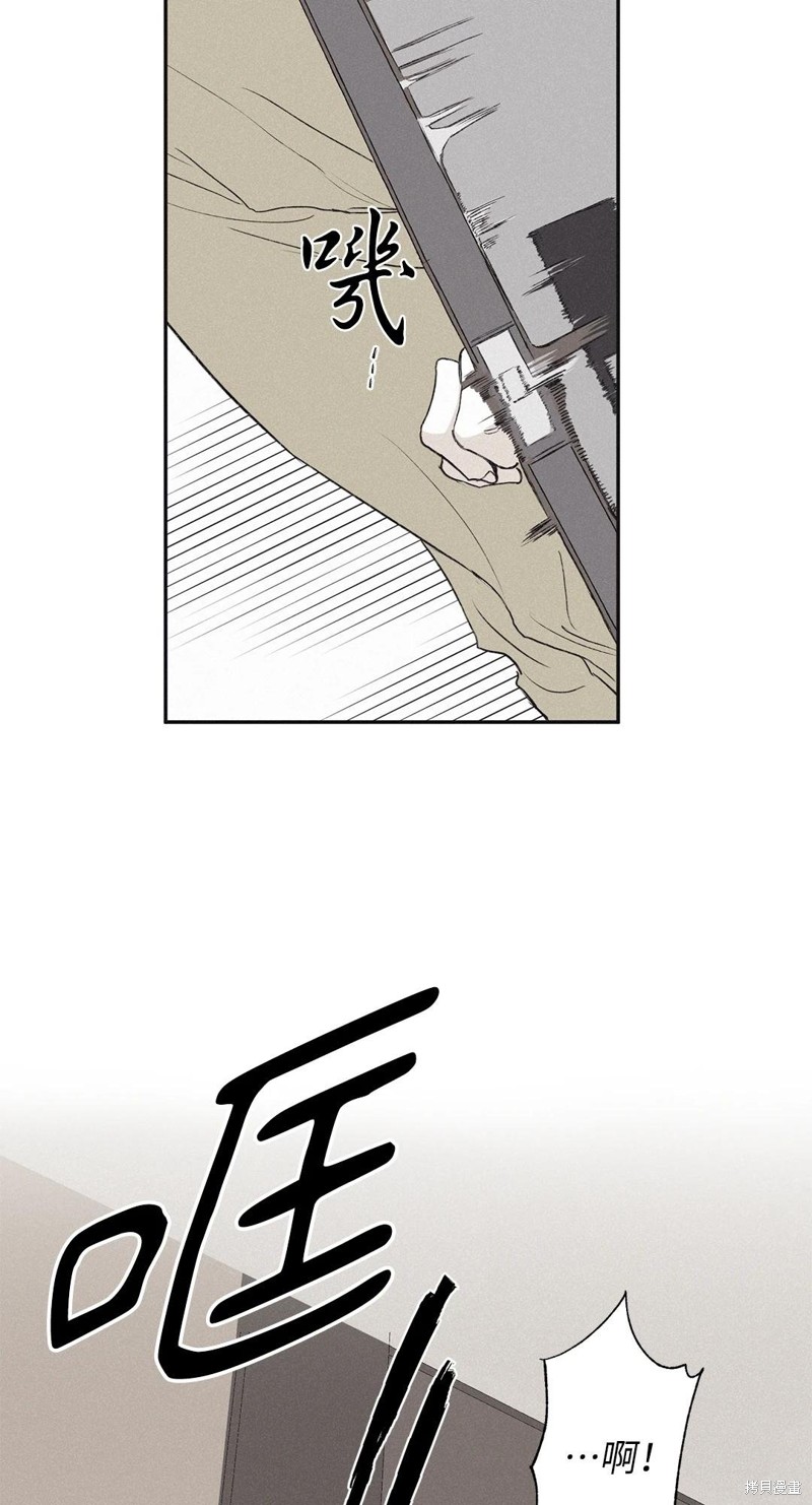37.jpg