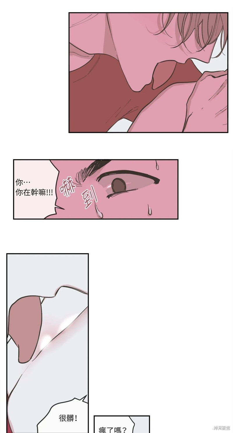 17.jpg