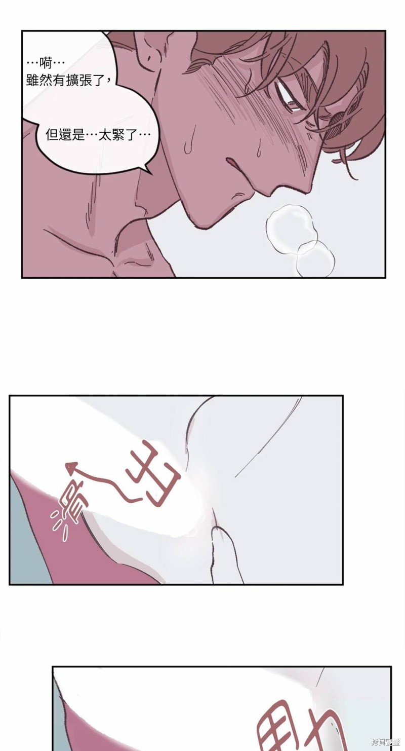 26.jpg