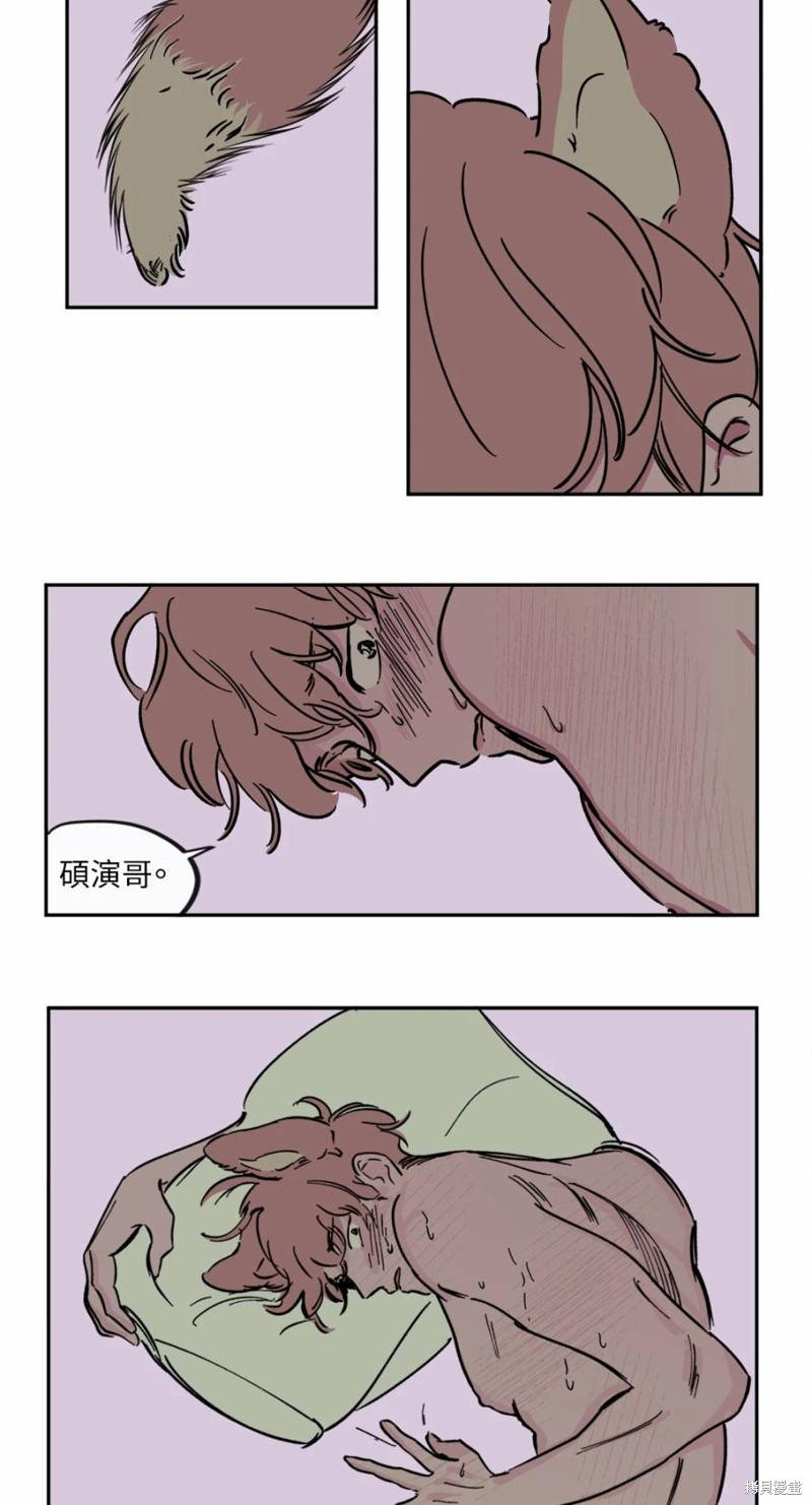 20.jpg