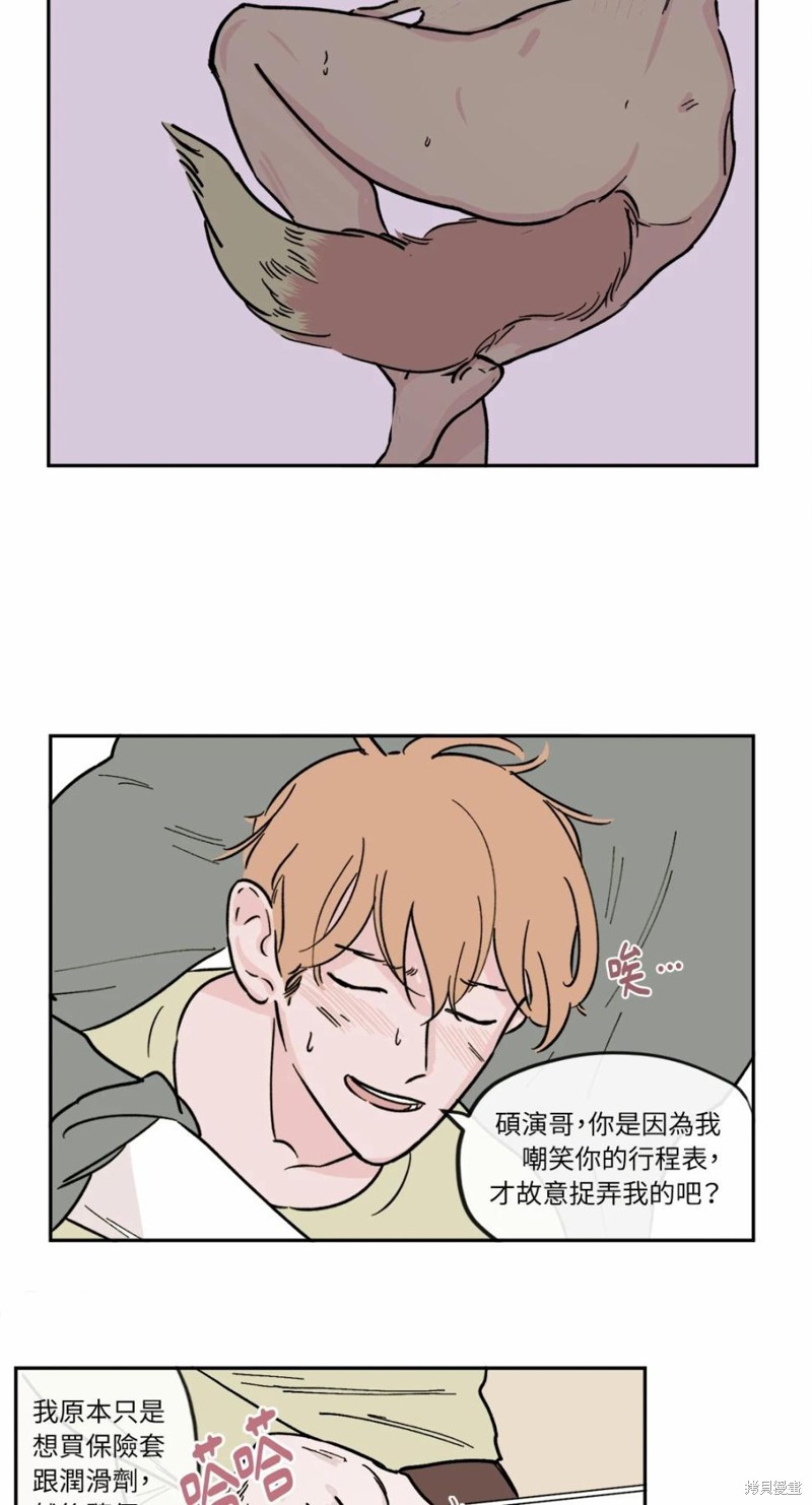 21.jpg
