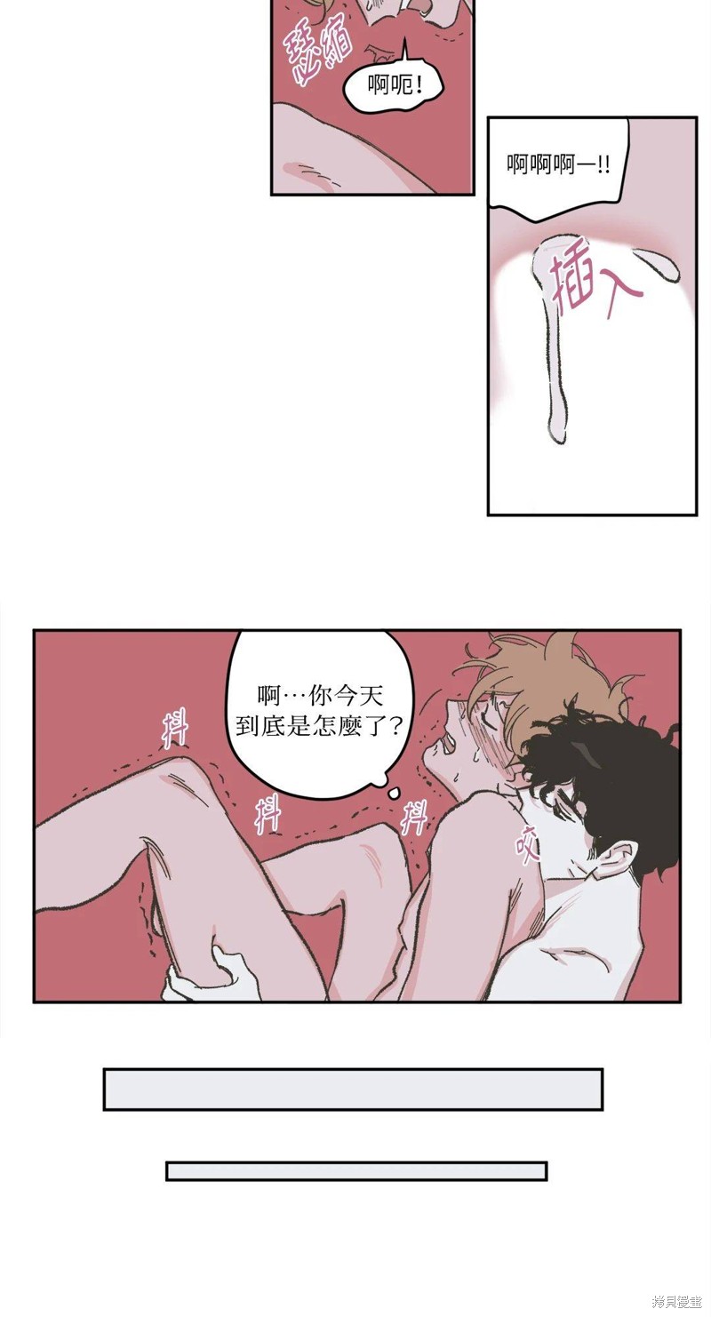 21.jpg